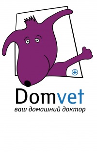 Ветеринарная клиника Domvet
