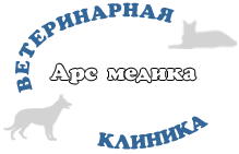 Арс медика