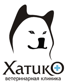 Ветеринарная клиника Хатико