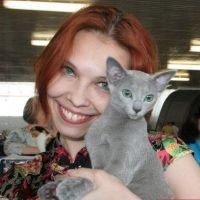 Русский голубой котенок Sunna Nordica Erik и его хозяйка Тамара